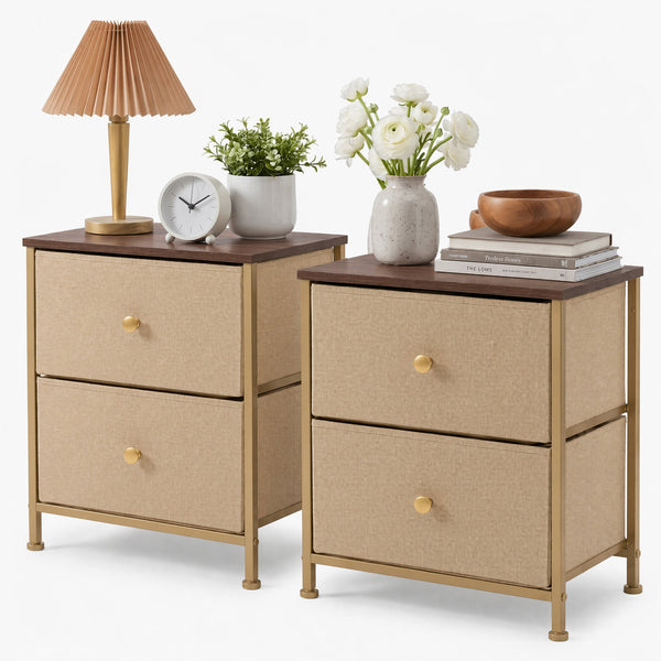 CONCETTA Nightstand Dresser- 2 Storage Drawers, Bedside Furniture End Table, Suitable for Living Room, Bedroom, Closet