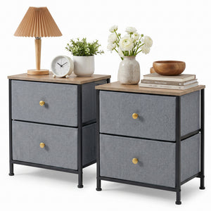 CONCETTA Nightstand Dresser- 2 Storage Drawers, Bedside Furniture End Table, Suitable for Living Room, Bedroom, Closet