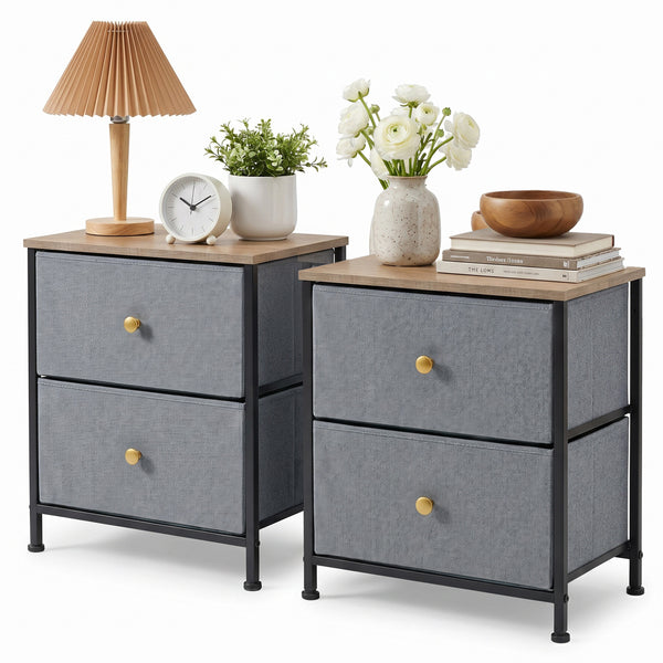 CONCETTA Nightstand Dresser- 2 Storage Drawers, Bedside Furniture End Table, Suitable for Living Room, Bedroom, Closet