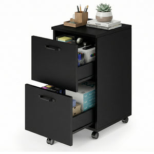 2-Drawer Rolling File Cabinet with Lockable Wheels, Printer Stand with Storage for Home Office