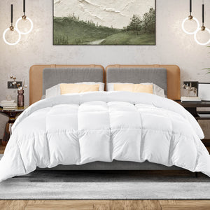 CONCETTA Down Comforter Queen Size, Heavyweight Down Blanket Suitable for Winter