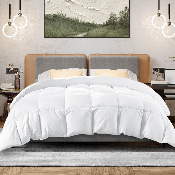 CONCETTA Down Comforter Queen Size, Heavyweight Down Blanket Suitable for Winter