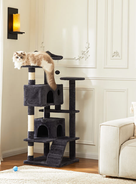 CONCETTA Cat Tree Tower, Multi-Level Cat Tree for Large Cats, Kitty, Pet House with 2 Condo, Scratching Post