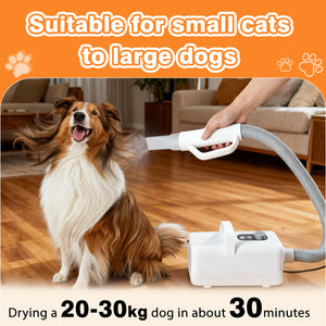 CONCETTA Large Dog Hair Grooming Blower,Dog Hair Dryer with Adjustable Wind Speed & Heater Temperature4 Nozzles, 6.5ft Cord for Dog Hair Force Blower