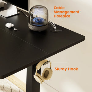 Electric Adjustable Height Standing Desk - 48 x 24 inch Sit to Stand Up Desk with Splice Board, Rising Home Office Computer Table with 2 Hook and Wire Hole for Work