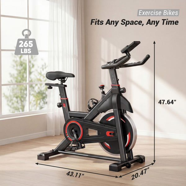 CONCETTA Exercise Bike for Home Gym, Stationary Indoor Cycling Bike, Low Noise Cardio Workout Equipment with Adjustable Resistance