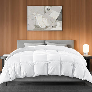 CONCETTA Down Comforter Queen Size, Heavyweight Down Blanket Suitable for Winter