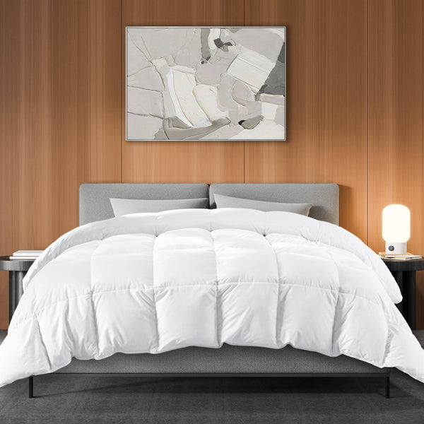 CONCETTA Down Comforter Queen Size, Heavyweight Down Blanket Suitable for Winter