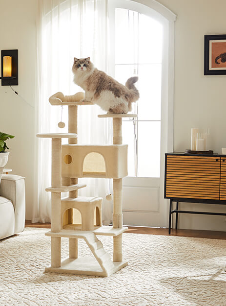 CONCETTA Cat Tree Tower, Multi-Level Cat Tree for Large Cats, Kitty, Pet House with 2 Condo, Scratching Post