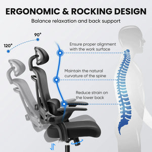 Ergonomic High Back Office Chair with Adjustable Lumbar Support, Headrest for Adults, Grey