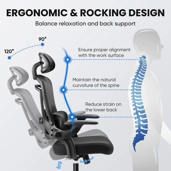 Ergonomic High Back Office Chair with Adjustable Lumbar Support, Headrest for Adults, Grey