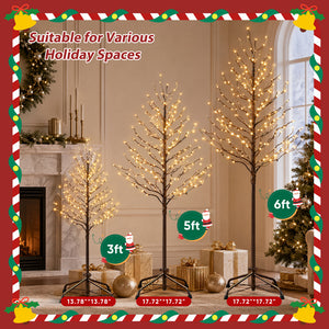 CONCETTA Lighted Star Tree, Christmas Tree with Warm White LED Lights, Adjustable Branches for Indoor Outdoor Yard Porch Decor