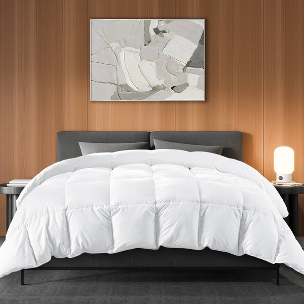 CONCETTA Down Comforter Queen Size, Heavyweight Down Blanket Suitable for Winter