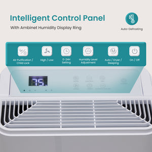 CONCETTA Dehumidifier for Basement and Large Rooms,  with Pump, Auto Shut-Off, and Intelligent Humidity Control