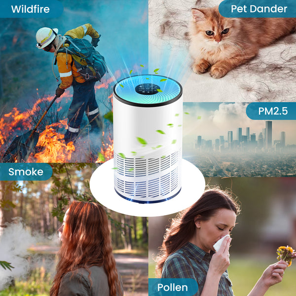 DUMOS Air Purifier for Home Bedroom, Covers 1200 Square Feet, True H13 Filter, Quiet Sleep Mode, Removes Odors, Smoke, Dust, Includes Filters