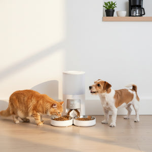 CONCETTA Automatic Pet Feeder - Programmable Timed Dry Food Dispenser, Smart Automatic Pet Feeder with APP Control, Voice Recorder & Portion Control,