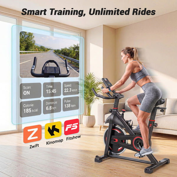 CONCETTA Exercise Bike for Home Gym, Stationary Indoor Cycling Bike, Low Noise Cardio Workout Equipment with Adjustable Resistance