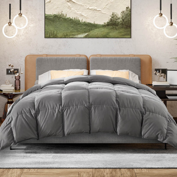 CONCETTA Down Comforter Queen Size, Heavyweight Down Blanket Suitable for Winter