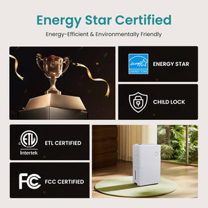 CONCETTA Dehumidifier for Basement and Large Rooms,  with Pump, Auto Shut-Off, and Intelligent Humidity Control