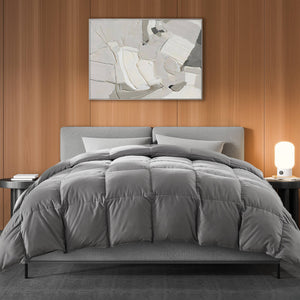 CONCETTA Down Comforter Queen Size, Heavyweight Down Blanket Suitable for Winter