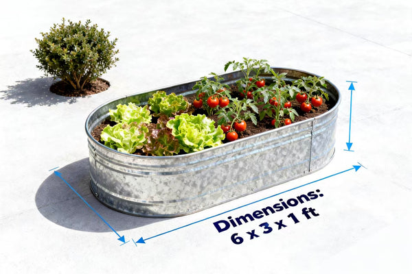 CONCETTA Galvanized Raised Garden Bed Kit with Safe Rubber Edging, Oval Metal Planter Box for Vegetables, Flowers, Herbs for Outdoor Gardening
