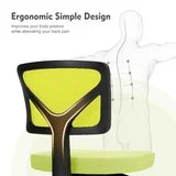 Mesh Task Chair with Padded Seat for Home Office, Green