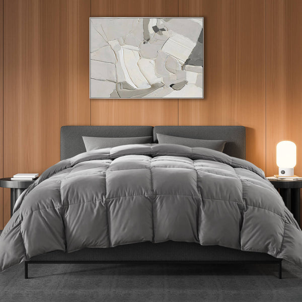 CONCETTA Down Comforter Queen Size, Heavyweight Down Blanket Suitable for Winter