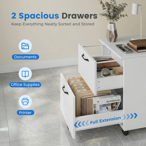 2-Drawer Rolling File Cabinet with Lockable Wheels, Printer Stand with Storage for Home Office