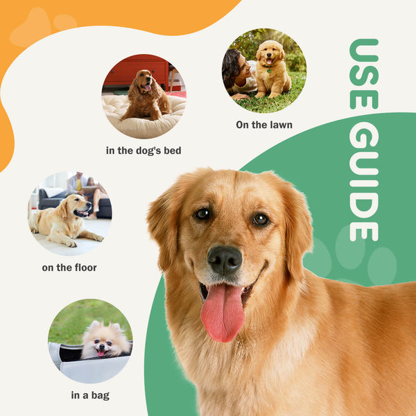 JOINSUN Ultra Absorbent Puppy Training Pads, Leak-Proof, Quick-Dry Surface, Perfect for Dog Pee