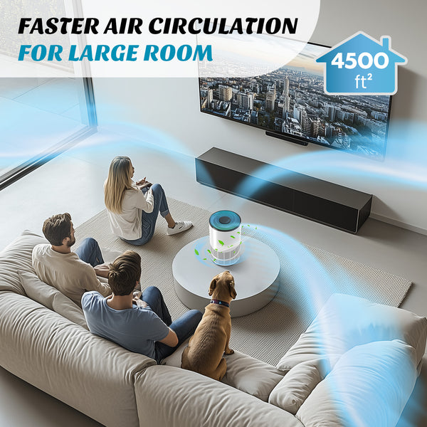 DUMOS Air Purifier for Home Bedroom, Covers 1200 Square Feet, True H13 Filter, Quiet Sleep Mode, Removes Odors, Smoke, Dust, Includes Filters