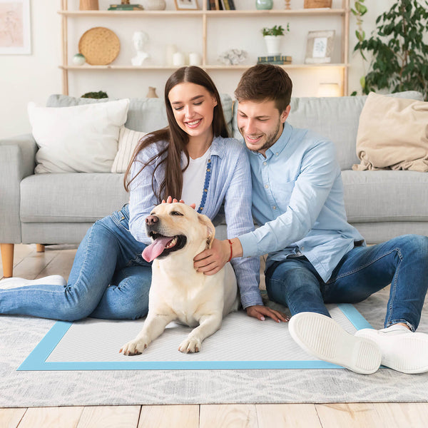 JOINSUN Ultra Absorbent Puppy Training Pads, Leak-Proof, Quick-Dry Surface, Perfect for Dog Pee