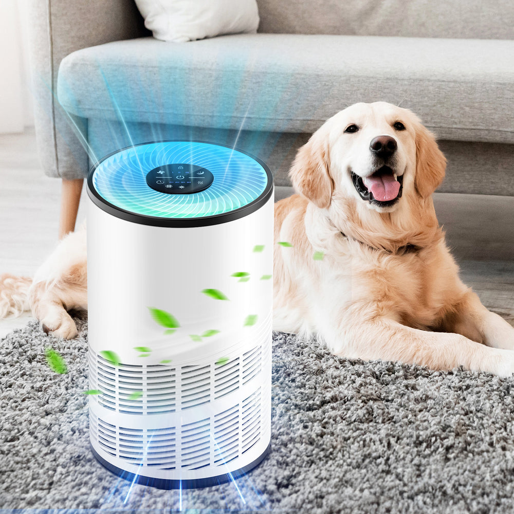 DUMOS Air Purifier for Home Bedroom, Covers 1200 Square Feet, True H13 Filter, Quiet Sleep Mode, Removes Odors, Smoke, Dust, Includes Filters