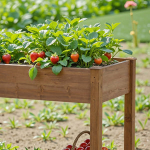 CONCETTA Wooden Raised Garden Bed - Elevated Planter Box with Drainage & Liner for Backyard/Patio/Balcony