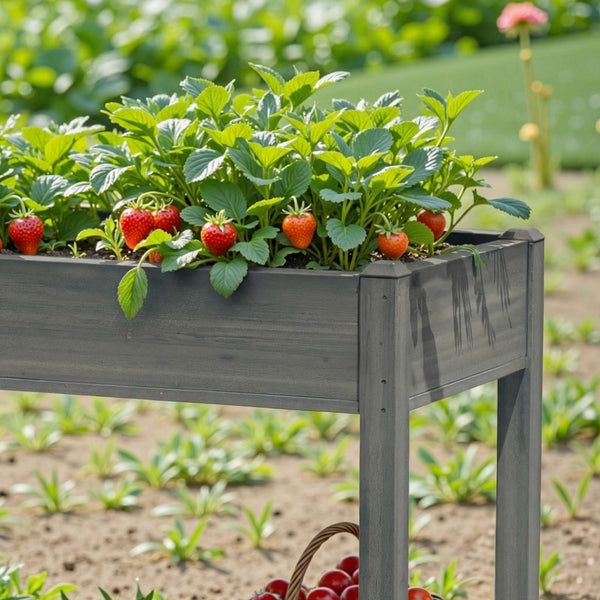 CONCETTA Wooden Raised Garden Bed - Elevated Planter Box with Drainage & Liner for Backyard/Patio/Balcony