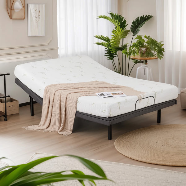 JOINSUN Adjustable Bed Frame, Individually Tilting Head and Foot with 2 USB Ports, Wireless Remote, Quiet Motor
