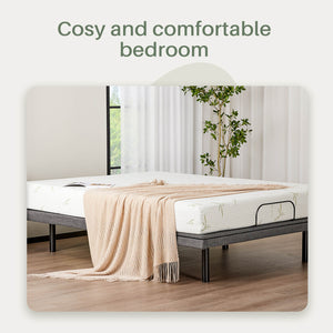 Adjustable_electric_bed34#size-Queen