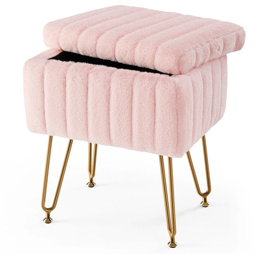 CONCETTA Storage Bench, Vanity Chair with Storage and Adjustable Feet for Makeup