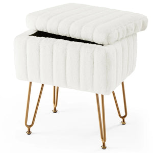 CONCETTA Storage Bench, Vanity Chair with Storage and Adjustable Feet for Makeup