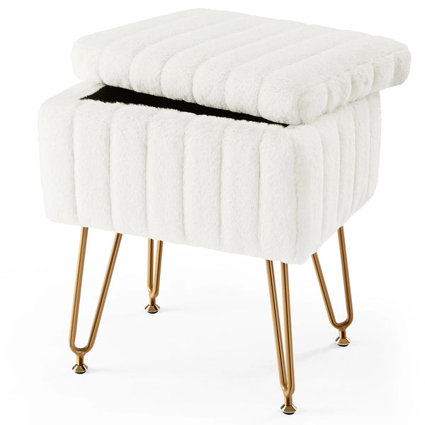 CONCETTA Storage Bench, Vanity Chair with Storage and Adjustable Feet for Makeup