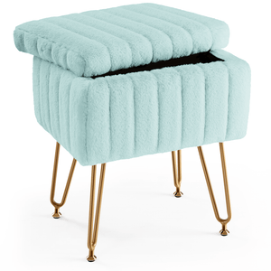 CONCETTA Storage Bench, Vanity Chair with Storage and Adjustable Feet for Makeup