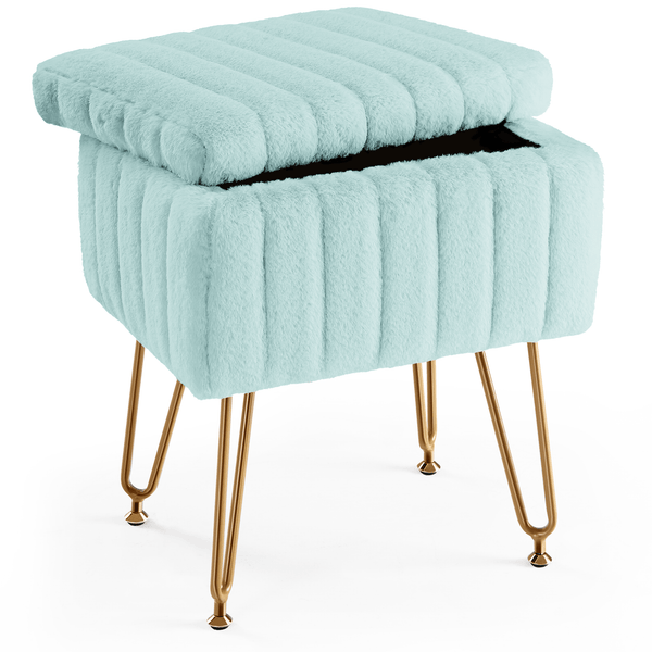 CONCETTA Storage Bench, Vanity Chair with Storage and Adjustable Feet for Makeup
