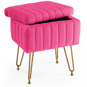 CONCETTA Storage Bench, Vanity Chair with Storage and Adjustable Feet for Makeup
